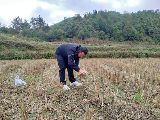 圖為技術員正在土壤取樣