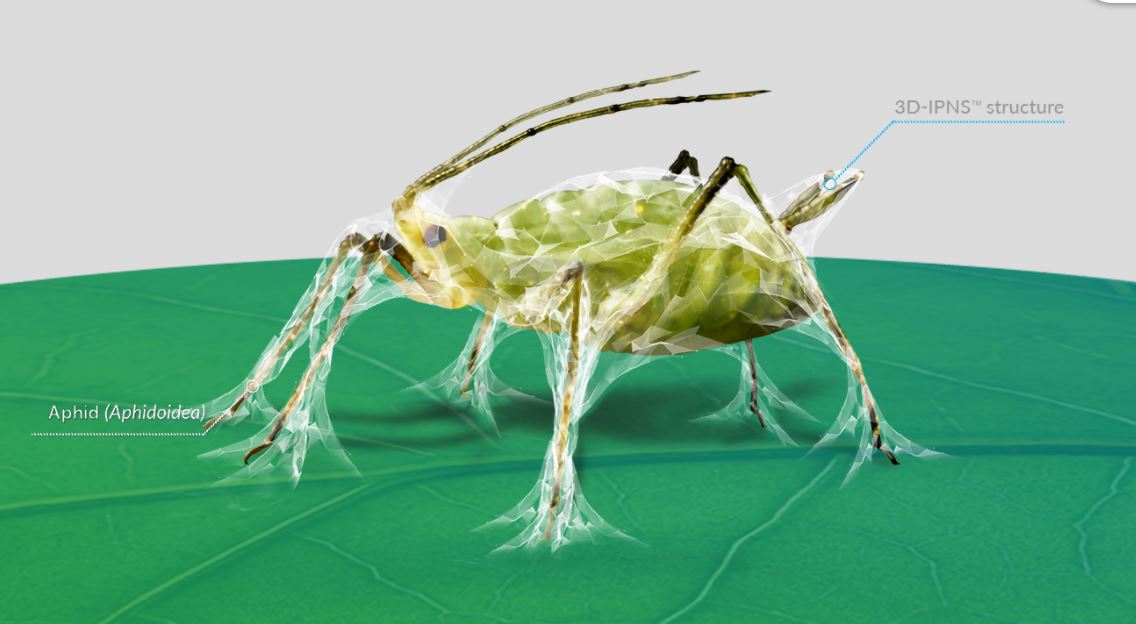 3D-Aphid.jpg